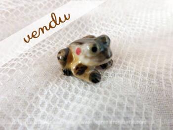 grenouille miniature