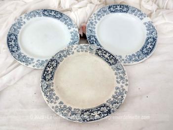 Lot.3 assiettes bleues pour Nini