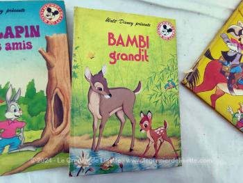 En bon état, voici quatre livres pour enfants de la serié "Wald Disney présente"  du "Club du livre Mickey" avec Dingo au Far West, Bambi grandit, Bibi Lapin et ses amis et Pluto Détective, imprimé de 1979 à 1982. Idéal pour se replonger dans les souvenirs de notre enfance..