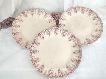 Voici un trio d'assiettes plates du XIX° estampillées S.F.G.B.N.G.R. en Terre de Fer avec le modèle Primevère rose avec en décor une large guirlande de fleurs et volutes sur tout le pourtour. Des assiettes bien plus que centenaires !