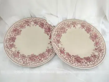 Voici un duo d'assiettes plates vraiment tendance shabby estampillé "Ligne Hotesse" décorées sur tout le pourtour d'une guirlande  de fleurs roses.