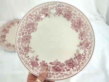 Voici un duo d'assiettes plates vraiment tendance shabby estampillé "Ligne Hotesse" décorées sur tout le pourtour d'une guirlande  de fleurs roses.