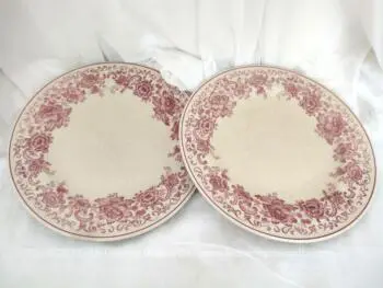 Voici un duo d'assiettes plates vraiment tendance shabby estampillé "Ligne Hotesse" décorées sur tout le pourtour d'une guirlande  de fleurs roses.