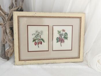 Voici un cadre en bois de 40 x 29 cm, mettant un valeur par un passe-partout double, deux broderies de plantes réalisées à la main sur du coton de lin écru. Encadrement unique.