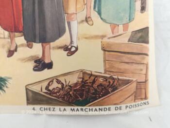 Datant des années 60, voici un duo d'affiches scolaires de 76 x 56 cm, recto/verso de Tableaux d’Élocution pour des classes de C.E.2, aux Editions Rossignol - Montmorillon avec des dessins des Métiers et Commerces de France.