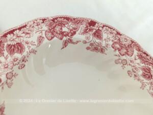 Duo assiettes creuses shabby « Stawberry Fair » de Johnson Brothers